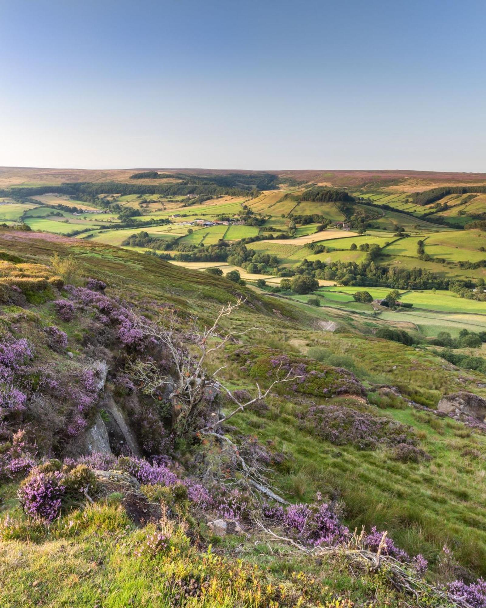 Picturesque Stone Cottage In The Heart Of North Yorkshire Village - Hideaway Cottage Extérieur photo